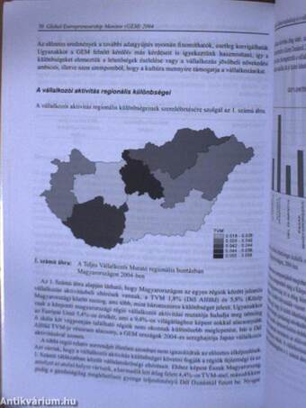 Vállalkozásindítás, vállalkozói hajlandóság, és a vállalkozási környezeti tényezők alakulása Magyarországon a 2000-es évek első felében