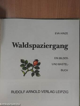 Waldspaziergang