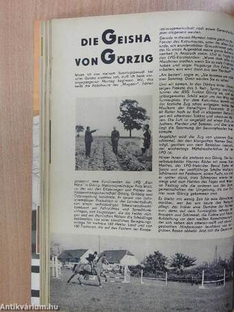 Das Magazin September 1967