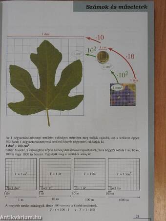 Matematika tankönyv 7/I.