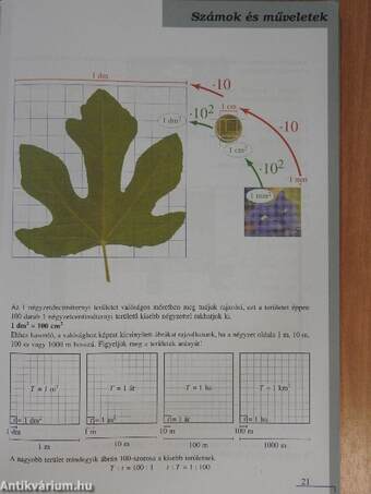 Matematika tankönyv 7/I.