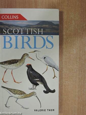 Scottish Birds