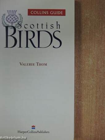 Scottish Birds