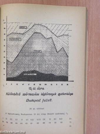 A nagyvárosi levegőszennyeződés elhárításának kérdései (dedikált példány)