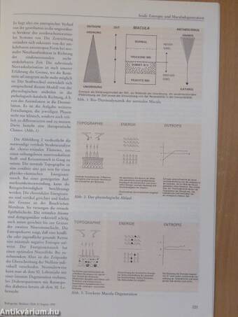 Biologische Medizin August 1993