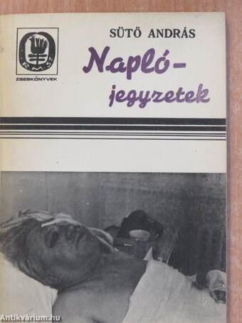 Naplójegyzetek 