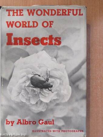 The Wonderful World of Insects