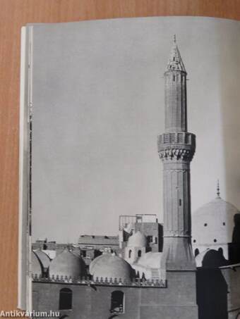 The Mosques of Cairo