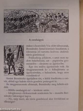 Az 1848-49-i szabadságharc anekdotakincse