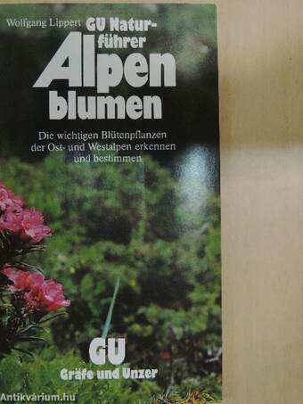 Alpenblumen