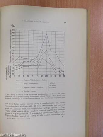 A talajklimatikus és a légköri klimatikus tényezők versenye a talajtípusok keletkezésénél (dedikált példány)