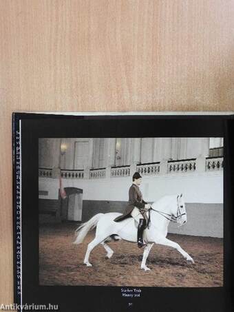 Lipizzaner und Spanische Reitschule