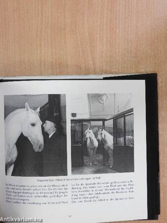 Lipizzaner und Spanische Reitschule