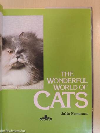 The Wonderful World of Cats