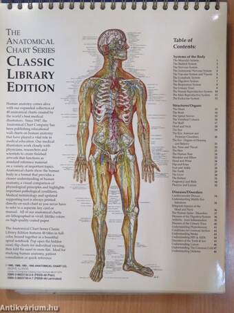 The Anatomical Chart Series