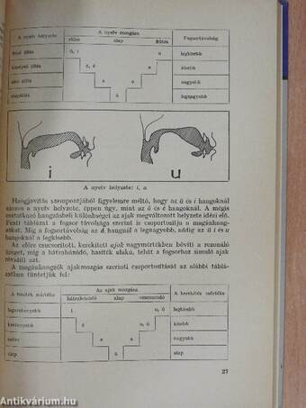 A gyakori beszédhibák