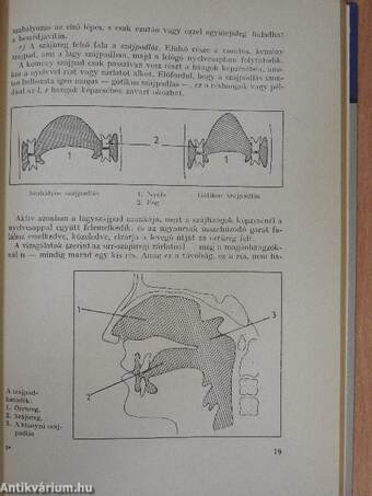 A gyakori beszédhibák