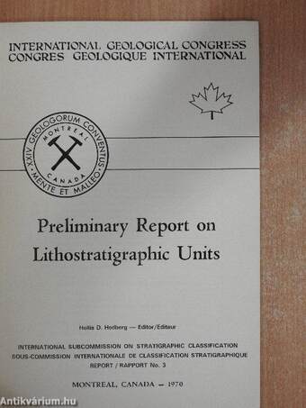 Preliminary Report on Lithostratigraphic Units