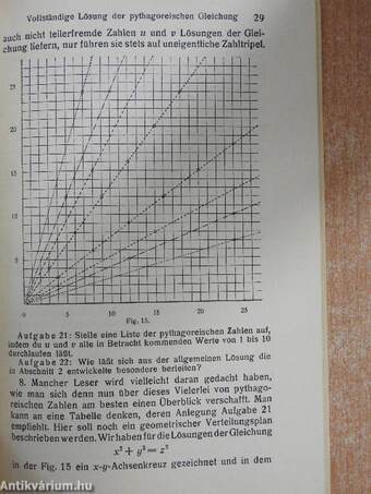 Von der pythagoreischen Gleichung zum fermatschen Problem