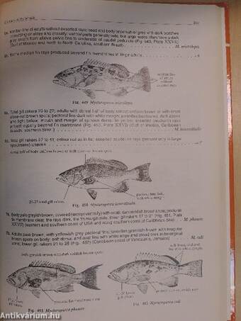 FAO Species Catalogue 16.