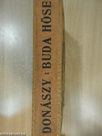 Buda hőse