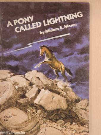 A Pony called Lightning
