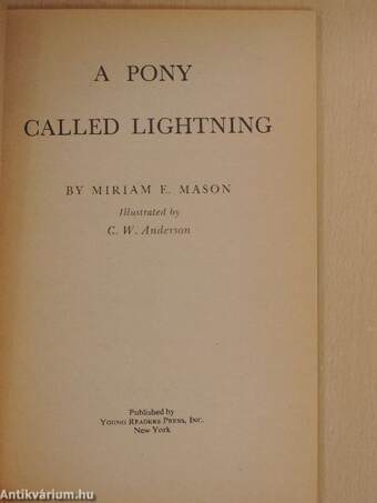 A Pony called Lightning