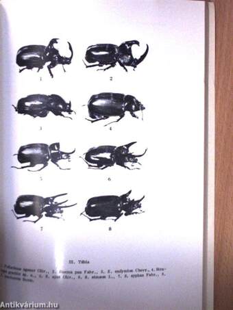 Folia Entomologica Hungarica 2/1976