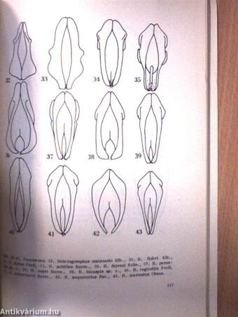 Folia Entomologica Hungarica 2/1976