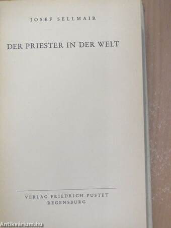 Der Priester in der Welt