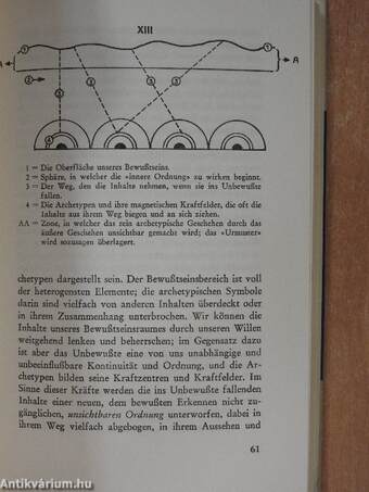 Die Psychologie von C. G. Jung