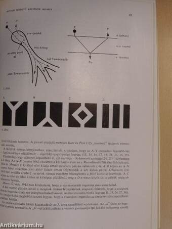 Cardiologia Hungarica 1972/1.