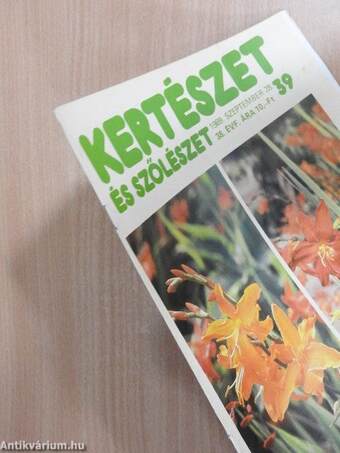 Kertészet és Szőlészet 1989. szeptember 28.