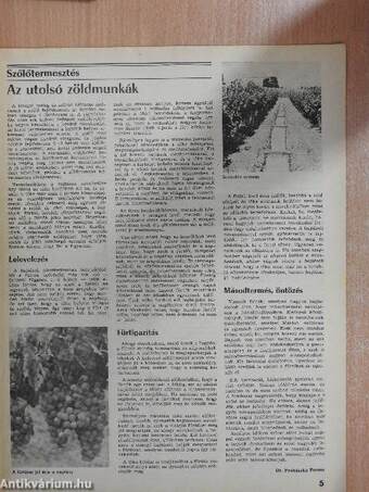 Kertészet és Szőlészet 1983. július 28.