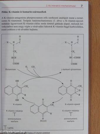 Interakciók gyógyszerek, vitaminok és nyomelemek között