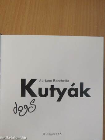 Kutyák