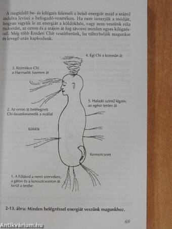 A Tao Gyógyító Fényének felébresztése