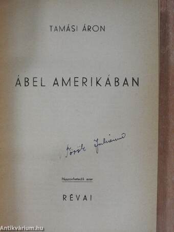 Ábel Amerikában