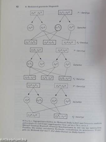 Pädiatrische Diagnose und Differentialdiagnose 1-2.