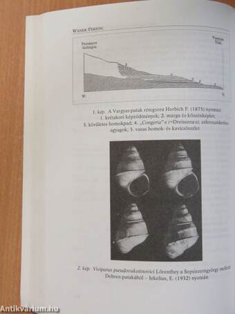 A Csíki Székely Múzeum évkönyve 2005 I-II.