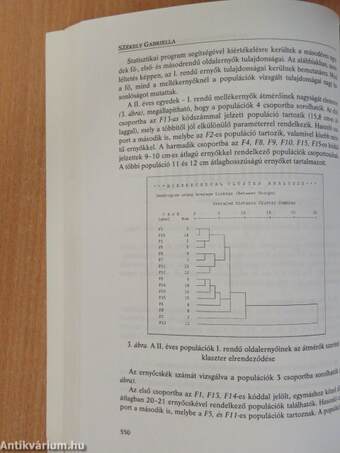 A Csíki Székely Múzeum évkönyve 2005 I-II.