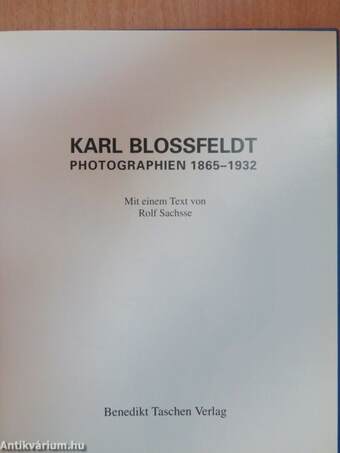 Karl Blossfeldt