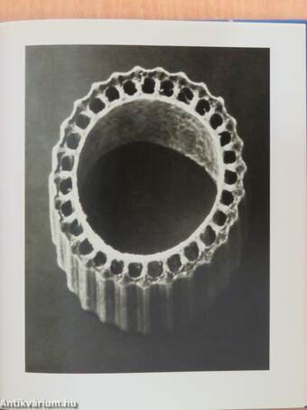 Karl Blossfeldt