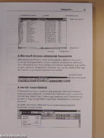 Access 2 For Windows - Floppyval