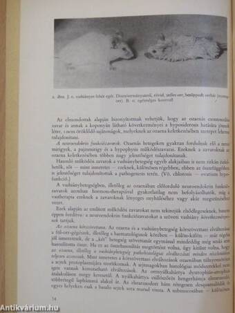 Különlenyomat a Haematologia Hungarica Tom 2., fasc. I. (1962) számából