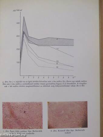 Különlenyomat a Haematologia Hungarica Tom. 5. (1965) fasc. 1-2. számából