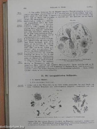 L. Landois' Lehrbuch der Physiologie des Menschen mit besonderer Berücksichtigung der praktischen Medizin I-II.