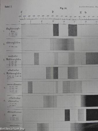 L. Landois' Lehrbuch der Physiologie des Menschen mit besonderer Berücksichtigung der praktischen Medizin I-II.