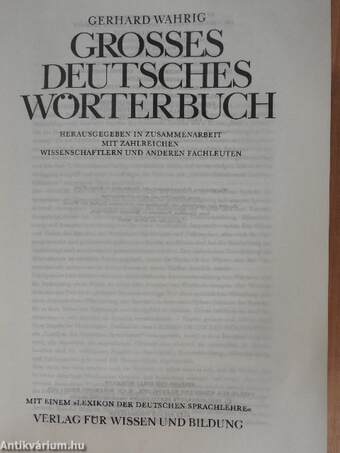 Grosses deutsches Wörterbuch