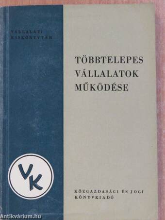 Többtelepes vállalatok működése